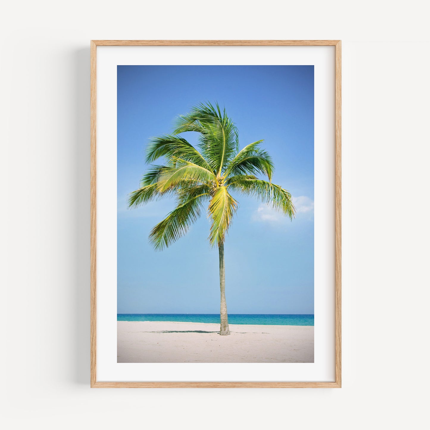 Palm Tree Poster