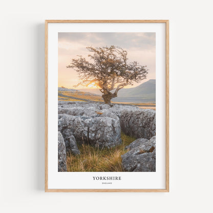 Yorkshire Travel Poster