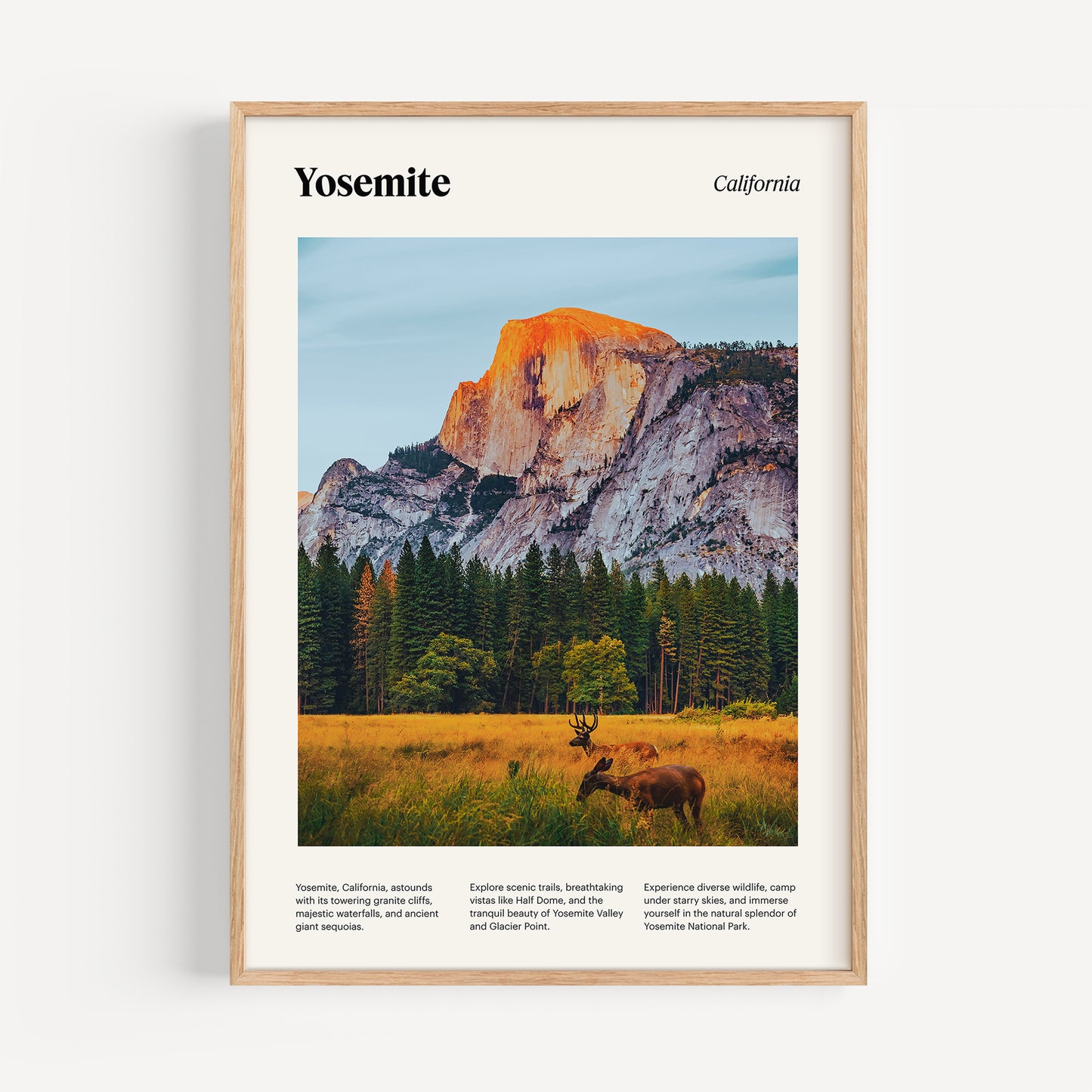 Yosemite National Park Poster